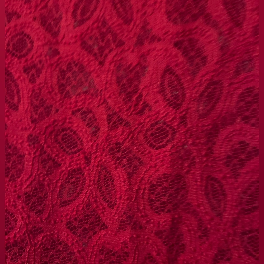 Lace Lane Bryant Blouse - Picture 4 of 4